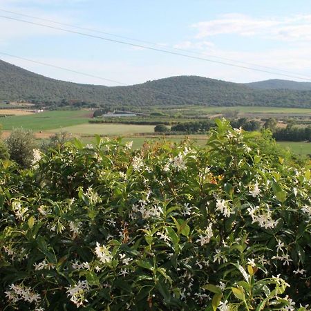 Agriturismo Podere Montenero Alberese Esterno foto